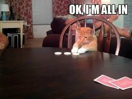 Pin On Lolcats