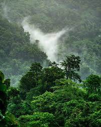 The right kind of cheap stock photography is the difference between effective social media graphics and ads, and those with minimal. How To Price The Natural Capital Of Planet Earth