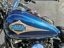 Image result for Sinister Blue Pearl 1998 Motorcycle