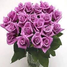 Flowers that mean love at first sight. Lavender Roses Meaning Love At First Sight Enchantment Lavender Rose Bouquet Wedding Flowers Roses Lavender Roses