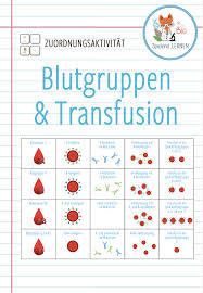 Blutgruppen Transfusion Zuordnungsaktivitat Unterrichtsmaterial Im Fach Biologie In 2020 Blutgruppen Anatomie Lernen Medizin Studieren