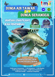 Dalam kehidupan laut terdapat banyak spesis ikan. Feeding Show Pekan Lebaran Dunia Air Tawar Dunia Serangga Di Tmii Taman Mini Indonesia Indah