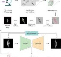 S3-VAE: A novel Supervised-Source-Separation Variational ...
