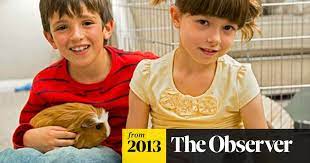 Joshua bassett, matt cornett and julia lester am2dm buzzfeed interview. Classic Children S Books Revived To Enthral Today S Young Generation Children S Tv The Guardian
