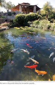 If you haven't tried our food, definitely check out the various drinks and dishes on our menu! A Sign Of The Times In San Antonio The Texas Observer