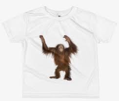 Including transparent png clip art, cartoon, icon, logo, silhouette, watercolors, outlines, etc. Orang Utan Print All Over Kids Sublimation T Shirt Orangutan Png Free Transparent Png Download Pngkey