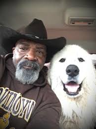 Snowflakes in fur! These adorable Great Pyrenees puppies are looking for  their forever homes #GreatPyrenees #PuppyLove #AdoptDontShop" 2Guardians in  training! Our Great Pyrenees puppies are ready to protect and love their new