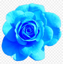 All png & cliparts images on nicepng are best quality. Blue Rose Aesthetic Tumblr Freetoedit Png Aesthetic Light Pink Rose Png Transparent Png 2048x2048 1176798 Pngfind