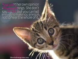 Funny Cat Quotes 30 The Funniest Sayings With Images Cat Quotes Funny Cats Cute Animals