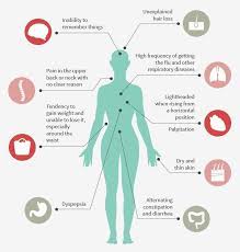 That is a lot of stuff happening and any one of them or all of them could be responsible for your hair loss. Adrenal Fatigue Treatment Herbs Acupuncture Diet And Supplements Makari Wellness