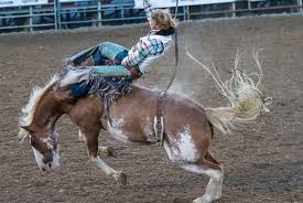 Official Site Of Cache County Utah Rodeo And Carnival Tickets
