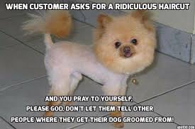 Repinned Lol Dog Groomer Humor Dog Groomers Dog Grooming