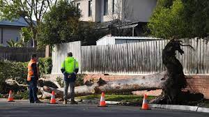 Check spelling or type a new query. Melbourne Storm Three Killed As Winds Cause Widespread Damage Bbc News
