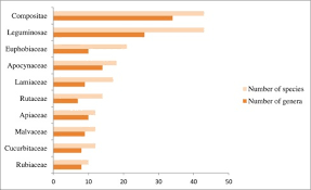 Image result for Xysmalobium heudelotianum