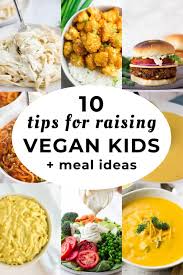 Alkaline diet (also known as the alkaline ash diet, alkaline acid diet, acid ash diet, and acid alkaline diet) describes a group of loosely related diets based on the misconception that different types of food can have an effect on the ph balance of the body. 10 Tips For Raising Vegan Kids Meal Ideas Nora Cooks