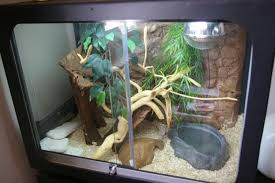 Corn Snake Homemade House Beardeddragonpet Corn Snake Bearded Dragon Snake Cages