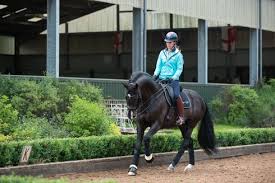 Bitting is probably the thorniest equestrian tack subject. Charlotte Uthopia Confessions Of A Dressageaholic