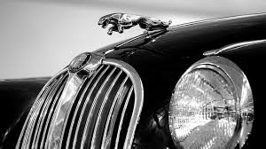 Apply to automotive technician, tire technician, developmental service worker 5 years minimum experience with repair, diagnostic equipment, and scan tools. Common Jaguar Problems And Auto Repair Griffin S Auto Repair