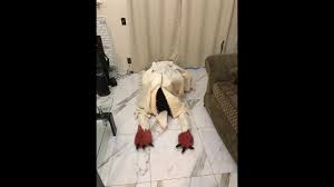 Ηλεκτρονικό κατάστημα με προϊόντα από anime, games, φιγούρες, αξεσουάρ, cosplay και mangaka Mitty Cosplay From Made In Abyss Youtube