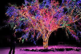 Hours may change under current circumstances Magic Tree Columbia Missouri Imgur
