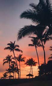 Yes you can use this video in your project, just credit me thank upretty sky colours on my drive home Aesthetic Sky Wallpaper By Xoxoangela1 88 Free On Zedge