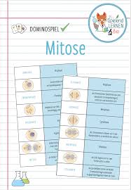 Mitose Domino Spiel Unterrichtsmaterial Im Fach Biologie In 2020 Domino Spiele Spiele Domino