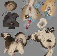 2021 absurd res anal anal fingering anal sex anatomically correct  anatomically correct anus anatomically correct balls anatomically correct  genitalia anatomically correct penis animal genitalia animal penis anthro  anus ass