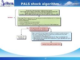 Pals Update 2005 To 2010