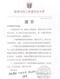 迷失缅北：暴力、贩卖、勒索与电诈，偷渡者沦为“行走的金钱”_中国网