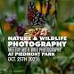 Atlanta Nature Photography Meetup event image