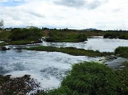 A looming health threat in Hyd? How polluted Musi water finds its way back  to the city