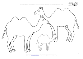 Dogs love to chew on bones, run and fetch balls, and find more time to play! Coloring Page Camels Color Picture Of Camels