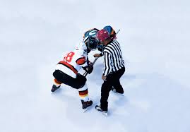 Certains offrent aux canadiens un accès au sport et aident les athlètes à prendre part aux compétitions et réussir. The Most Popular Canadian Sports Teams According To Google