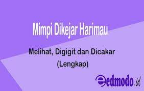 Mimpi dikejar harimau jadi jadian atau harimau siluman mimpi melihat harimau mengejar orang mimpi melihat harimau mengejar mangsa. Arti Mimpi Dikejar Harimau Melihat Digigit Dan Dicakar Lengkap