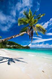 Entre les plages paradisiaques, les réserves naturelles.elles sont réputées être les plus séduisantes du monde découvrez vite notre top 7 des plus belles. Mahe Seychelles Les Plus Belles Plages Du Monde Decouvrez Les Seychelles Su Belles D Les Seychelles Seychelles Paysage Paradisiaque