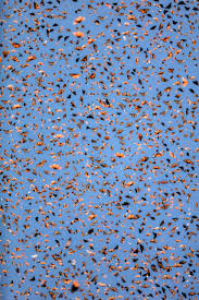 Orange and blue wallpaper aesthetic. Wallpaper Orange And Blue Image 6960002 On Favim Com