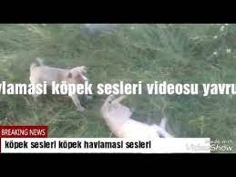 pin on adamkilli34