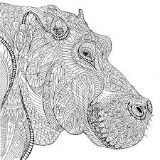 Nijlpaard Safari Art Cute Coloring Pages Animal Drawings