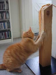 Cat Scratching Posts Natural Solid Wood Tall Scratching Post Great Price And Kittypod At Love That Cat Diy Cat Scratcher Cat Scratching Post Cat Scratcher Post