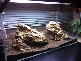 Ohko Stone Information Where To Buy Red Cherry Shrimp Aquascape Fresh Water Fish Tank Aquarium
