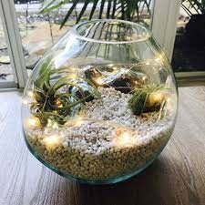 Films en vf ou vostfr et bien sûr en hd. Molten Glass On Driftwood Arrangement Super Fast Shipping Air Plants Terrarium Succulents Terrarium Flowers Vase Unique Centerpiece Gift Air Plant Terrarium Plant Terrarium Succulent Terrarium