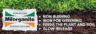 Maybe you would like to learn more about one of these? What Is Milorganite When To Apply It