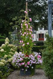 Dirt Simple Gardening And Landscape Blog By Deborah Silver Part 13 Garden Containers Container Flowers Container Gardening