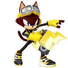 Custom Hero Spike The Cat By Nibroc Rock On Deviantart Sonic Heroes Sonic Fan Characters Sonic Art