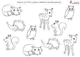 Iată o listă cu animale sălbatice din românia. Animalele SÄƒlbatice FiÈ™Äƒ De Lucru