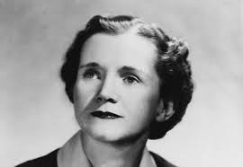 How to become an ecologist?