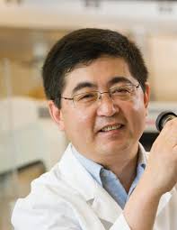 Vet Cetera 2010 by Oklahoma State