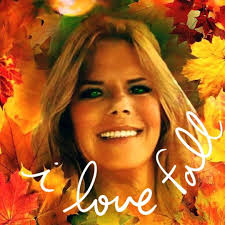 Lost black and white dog roaming free