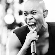 Heineken Jammin Festival