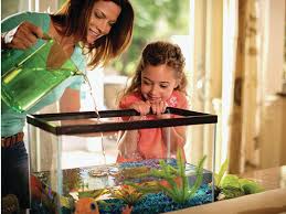 What is the proper way to clean a fish tank? What Happens If You Don T Regularly Clean Your Freshwater Aquarium Petcoach
